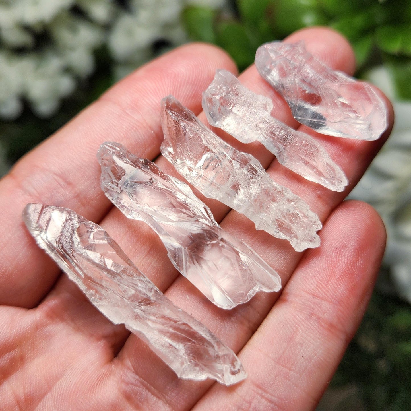 Lemurian Root Crystal