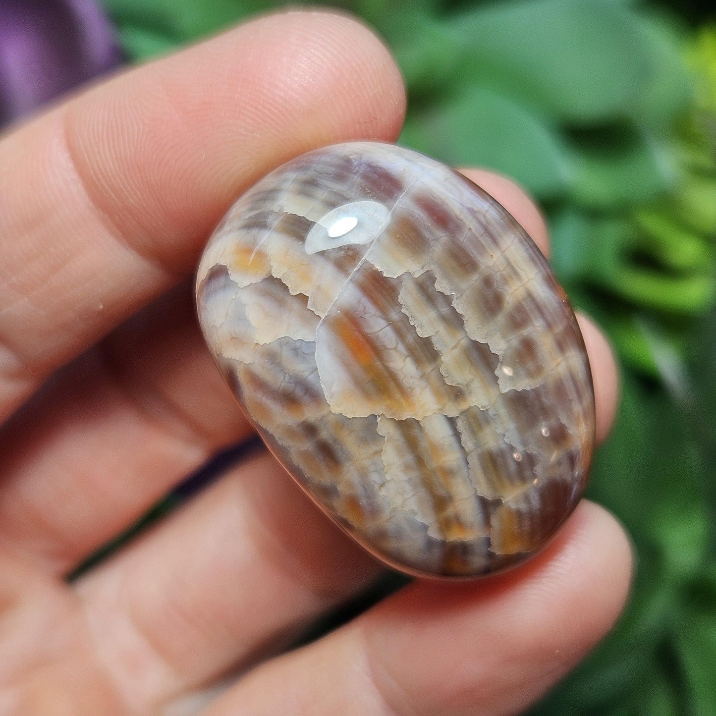 Snakeskin Agate