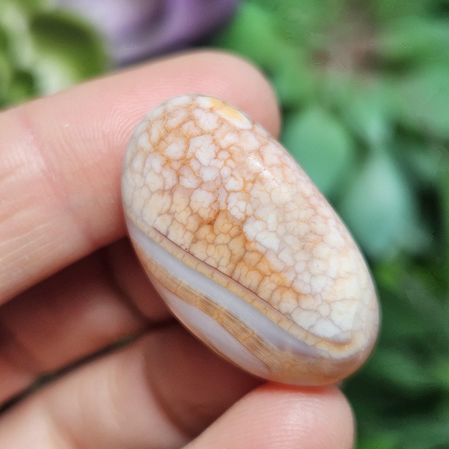 Snakeskin Agate