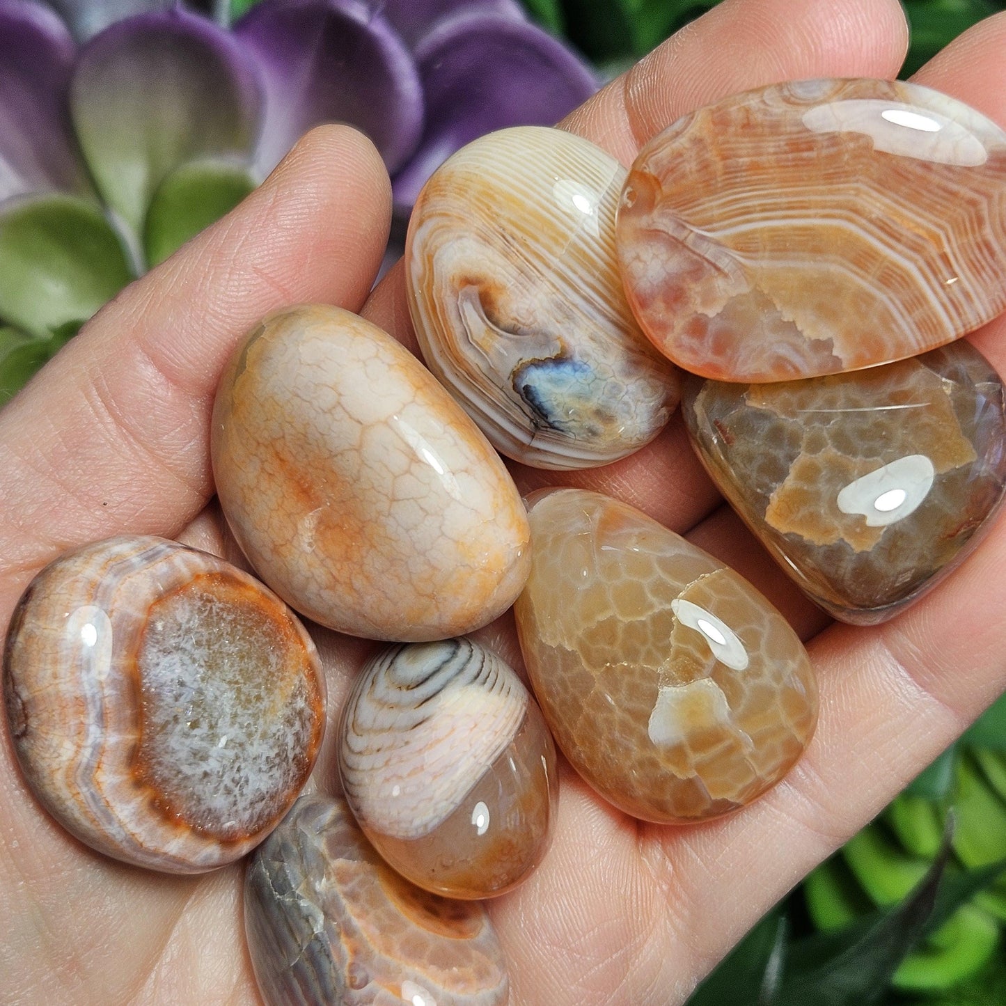 Snakeskin Agate
