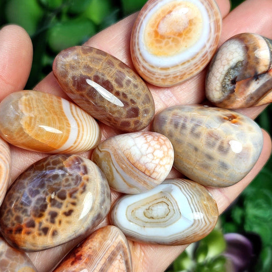 Snakeskin Agate