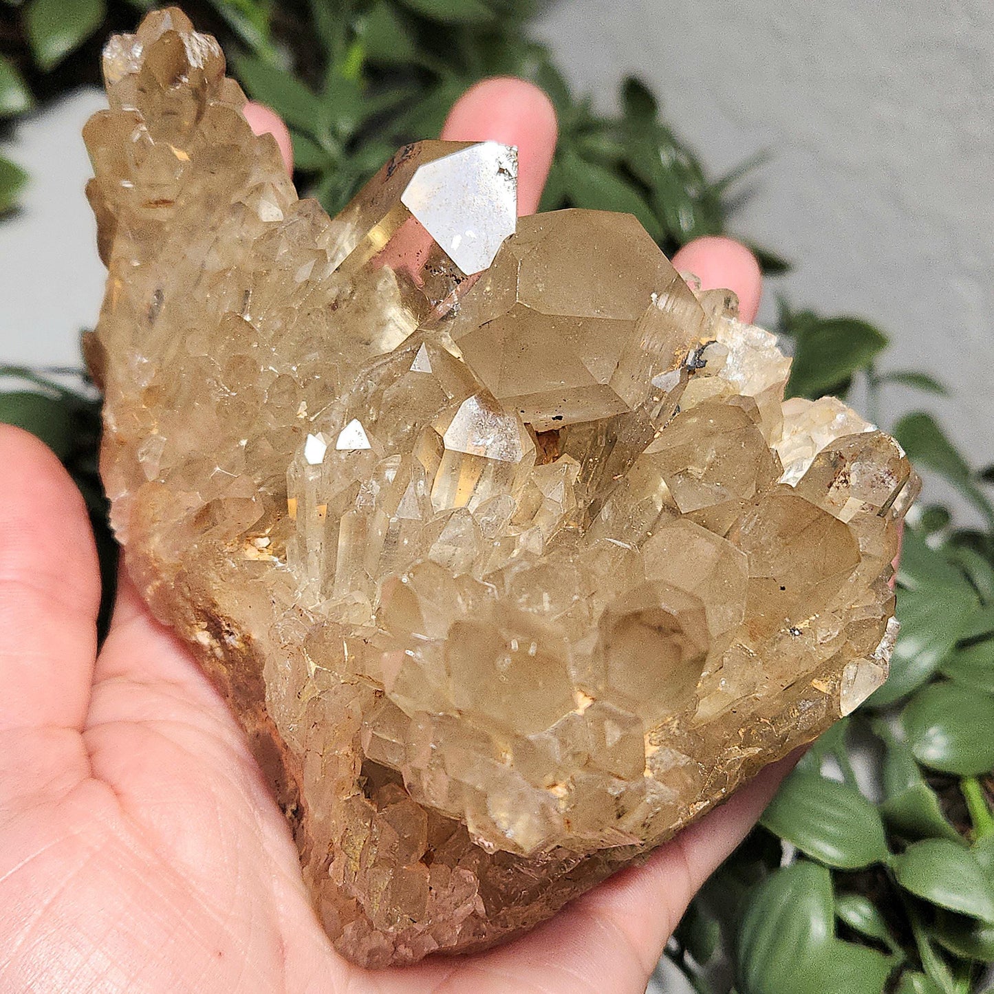 HUGE Kundalini Citrine