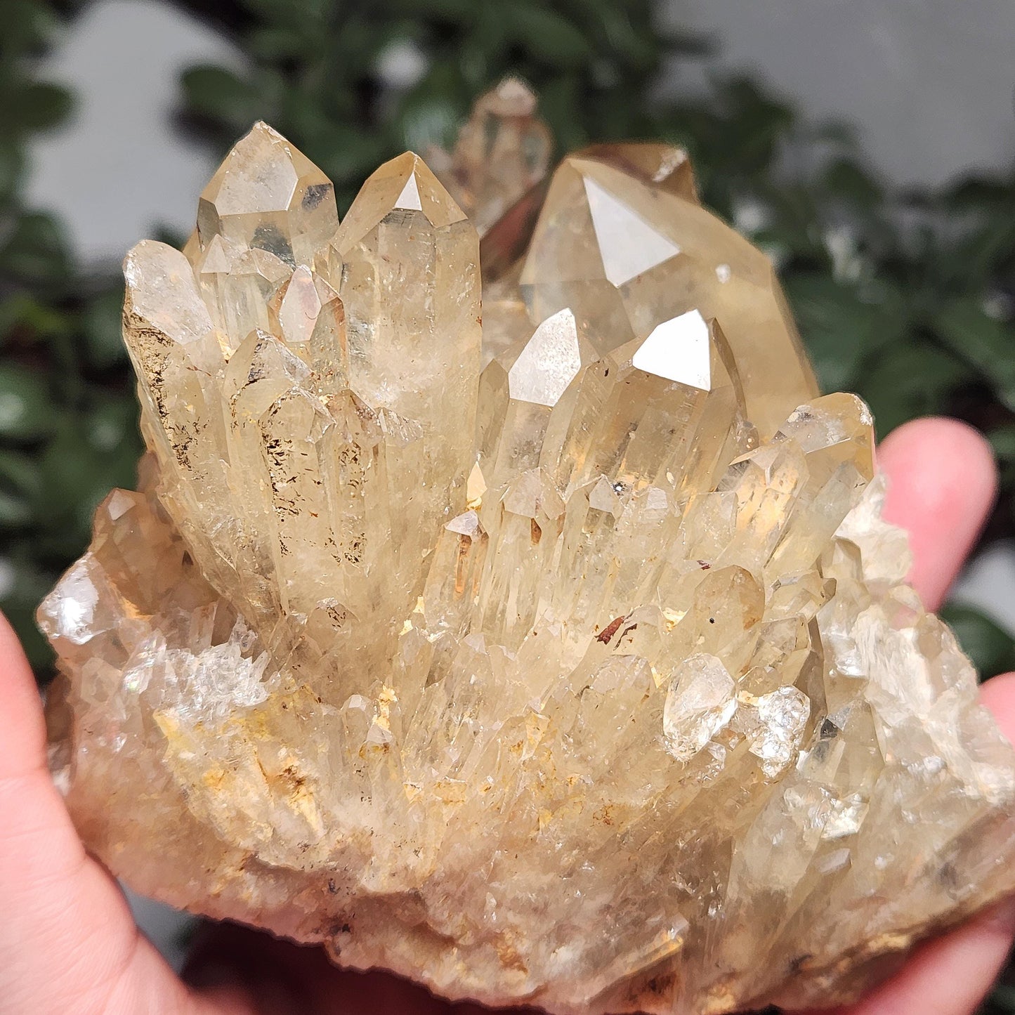 HUGE Kundalini Citrine