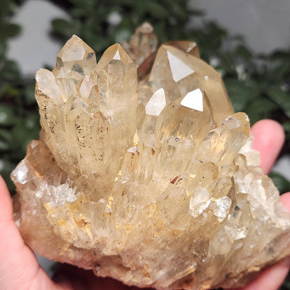 HUGE Kundalini Citrine
