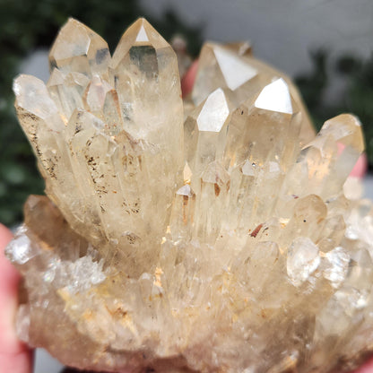 HUGE Kundalini Citrine
