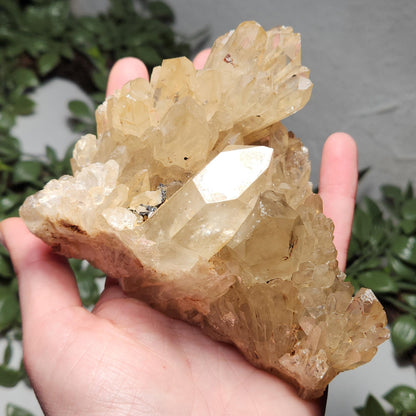 HUGE Kundalini Citrine