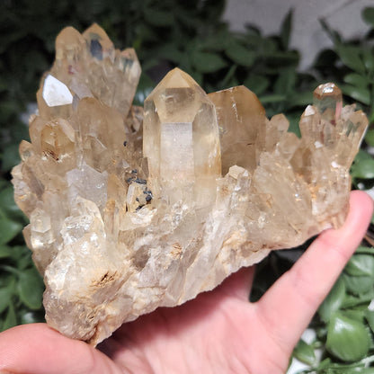 HUGE Kundalini Citrine