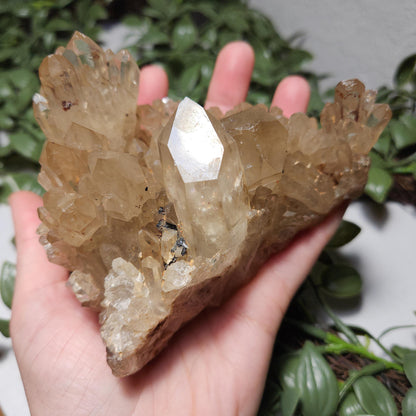 HUGE Kundalini Citrine