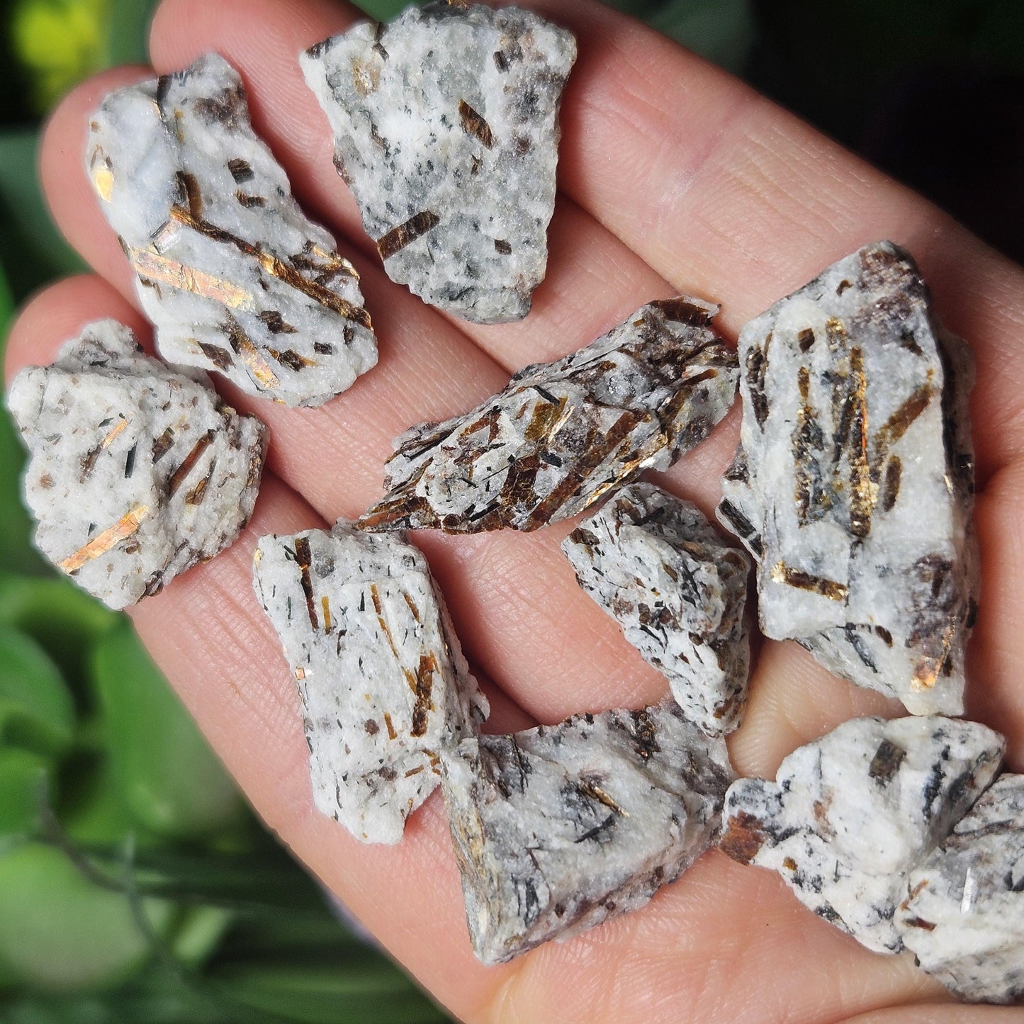 Astrophyllite Crystal