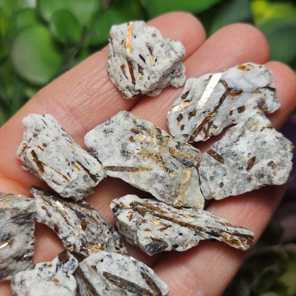 Astrophyllite Crystal