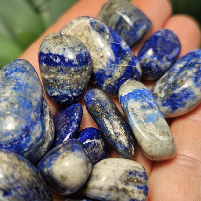 Lapis Lazuli Crystal Tumbled Stone