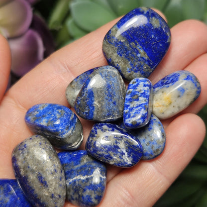 Lapis Lazuli Crystal Tumbled Stone
