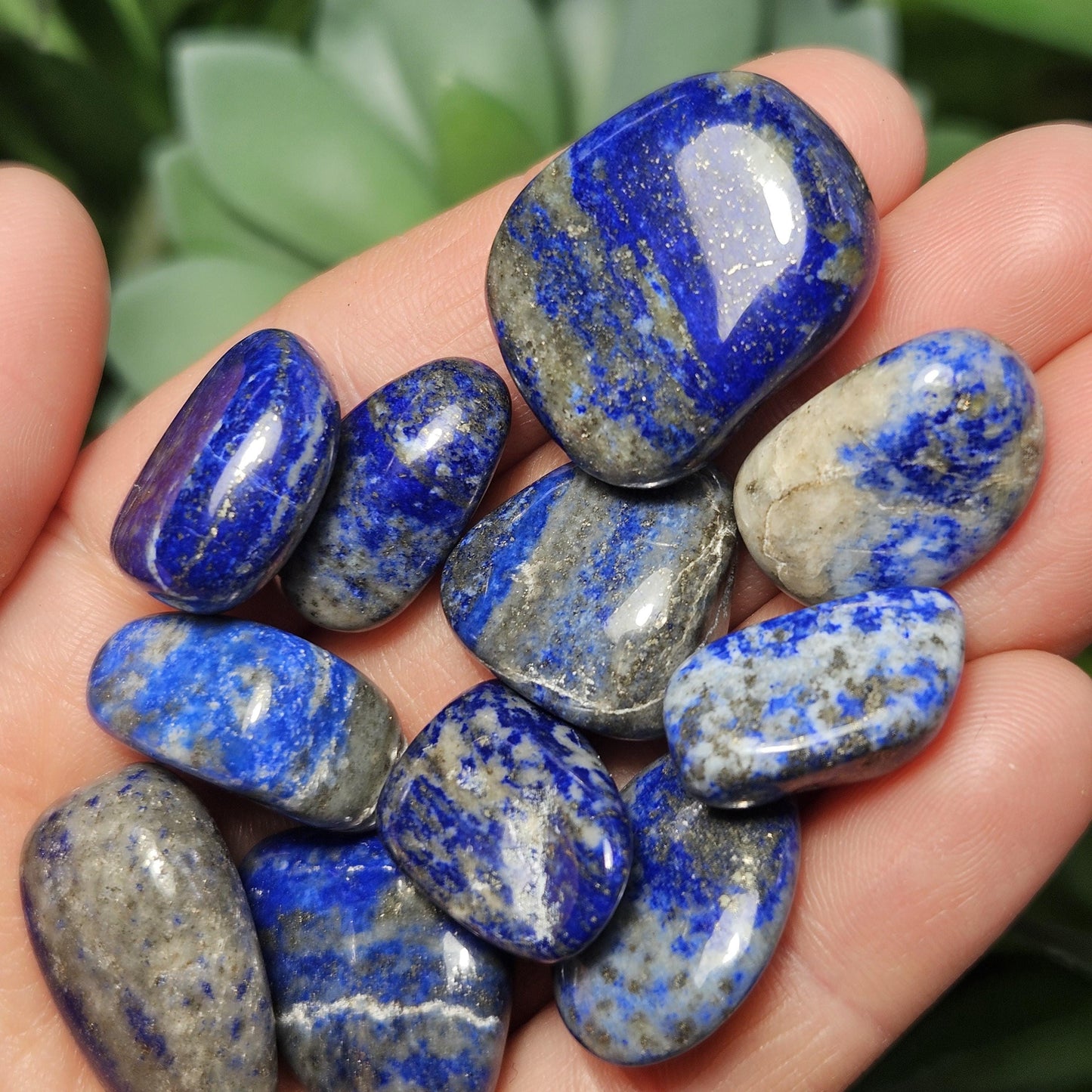 Lapis Lazuli Crystal Tumbled Stone