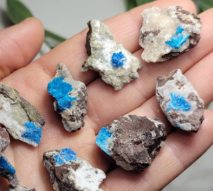 Cavansite