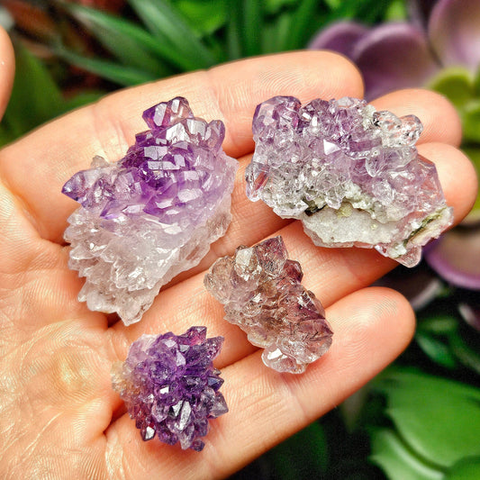 May include: Four amethyst crystal clusters, one is a light purple color, one is a darker purple color, and two are a mix of light and dark purple colors.