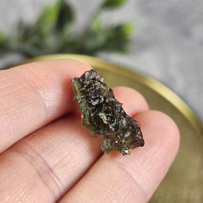 Besednice Moldavite Hedgehog Specimen 1.97 gram