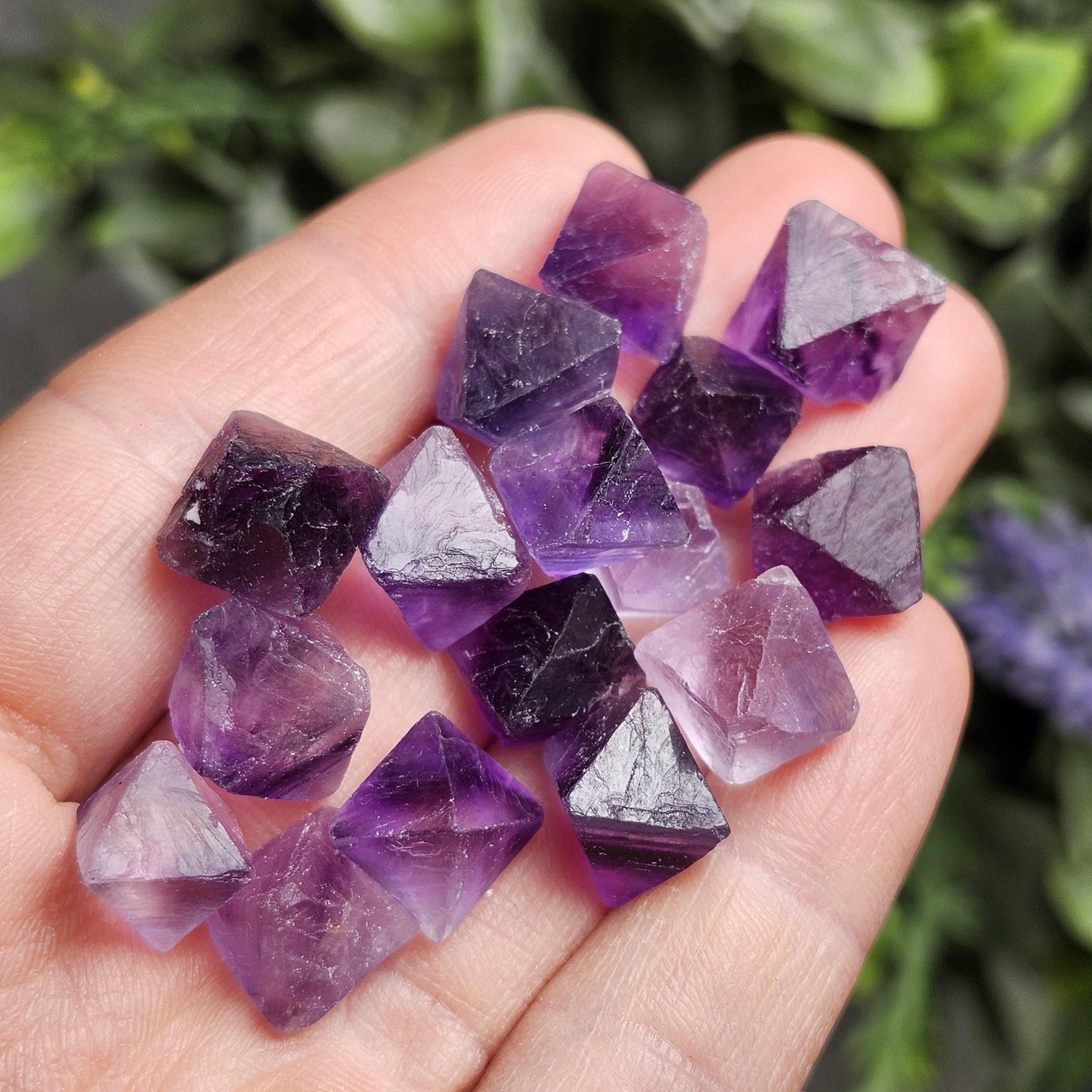 Cubic Purple Fluorite