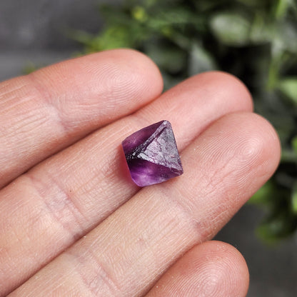 Cubic Purple Fluorite