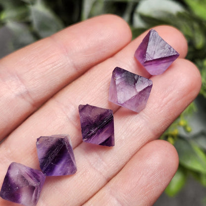 Cubic Purple Fluorite