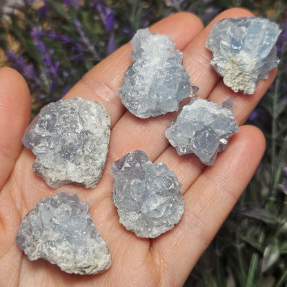 Celestite Cluster