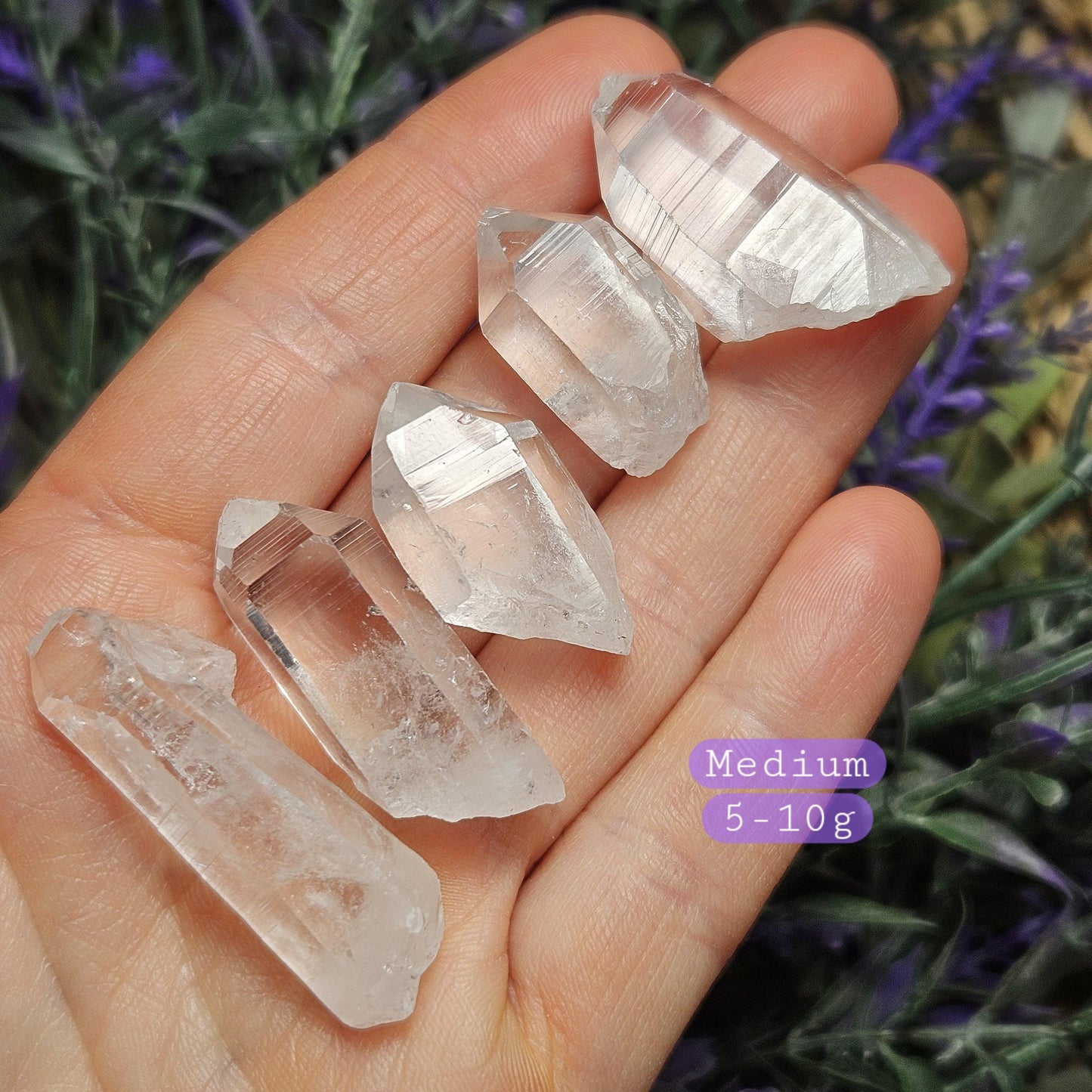 Lemurian Seed Quartz