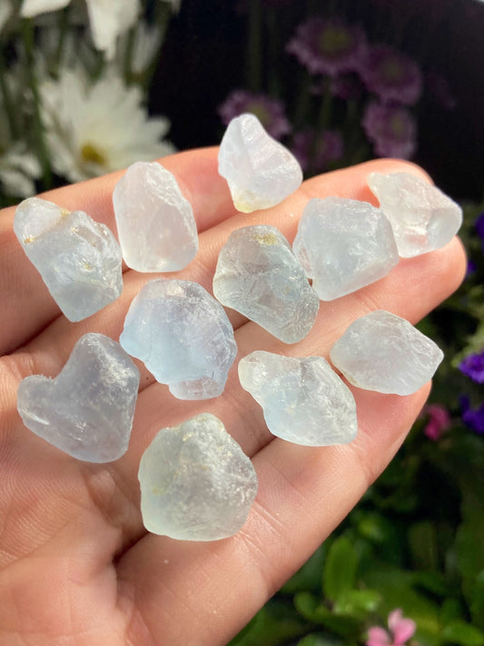 May include: A collection of ten small, light blue, translucent, rough-cut aquamarine crystals.