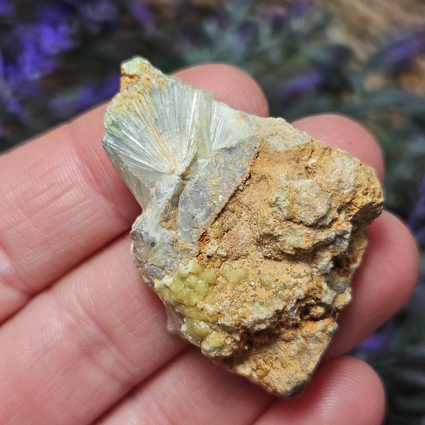 Wavellite Radial Crystal Specimen