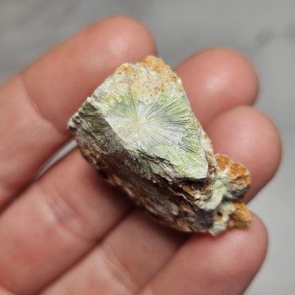 Wavellite Radial Crystal Specimen