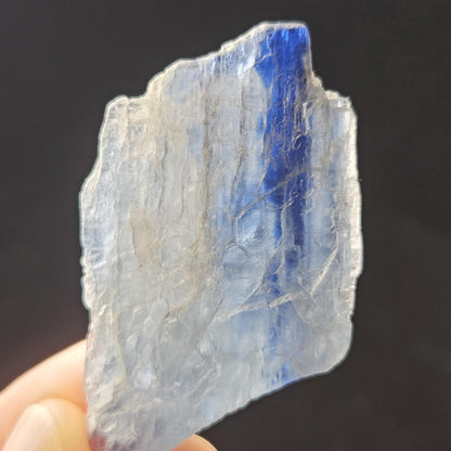Bicolor Kyanite