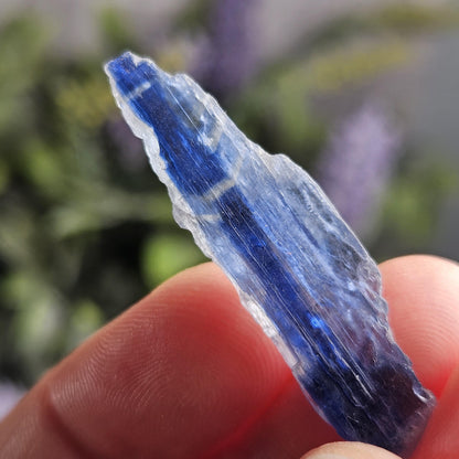 Bicolor Kyanite