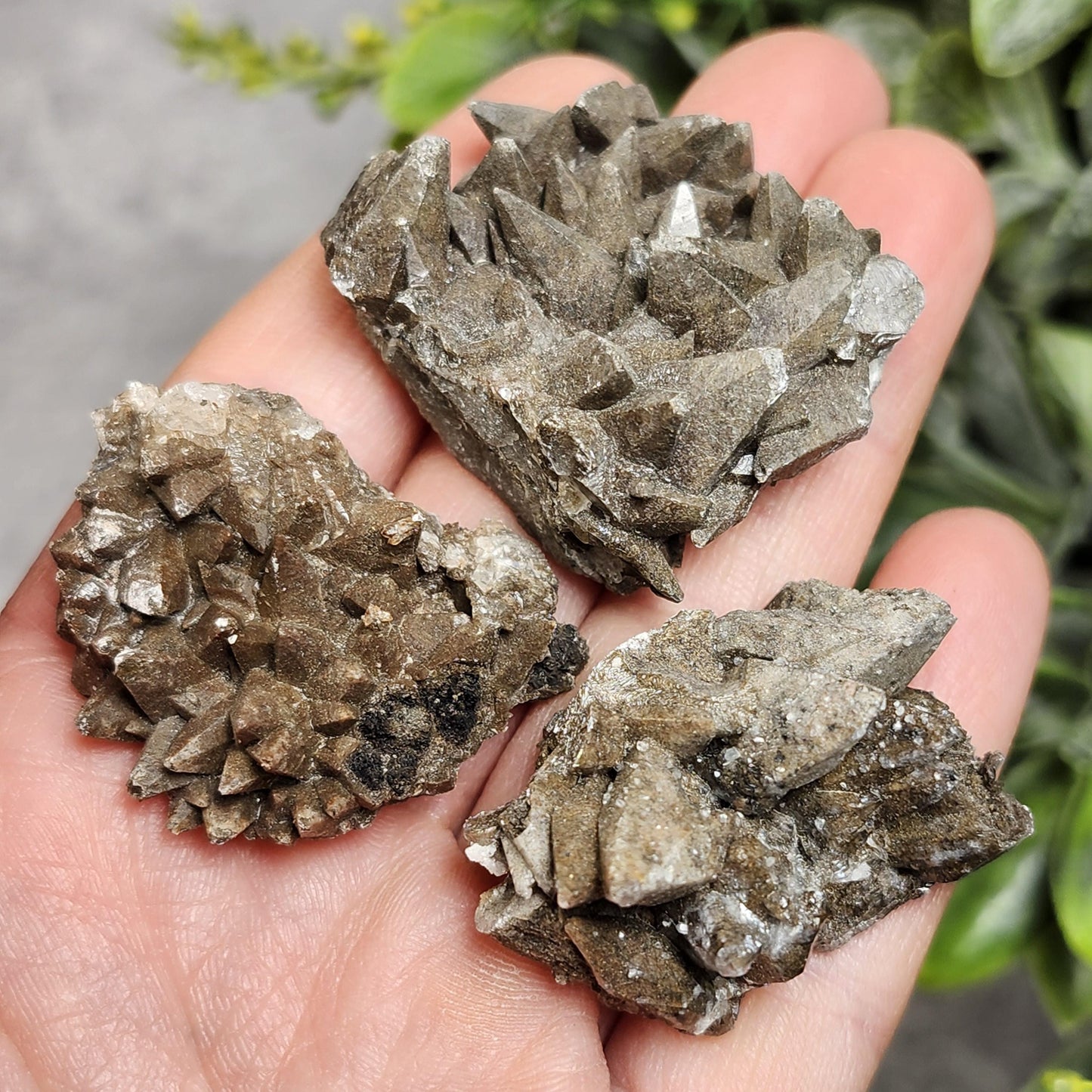 Chocolate Dogtooth Calcite