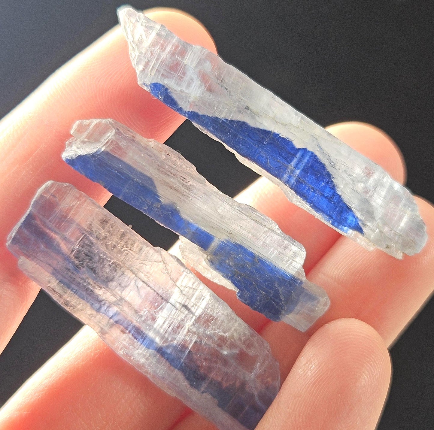 Bicolor Kyanite