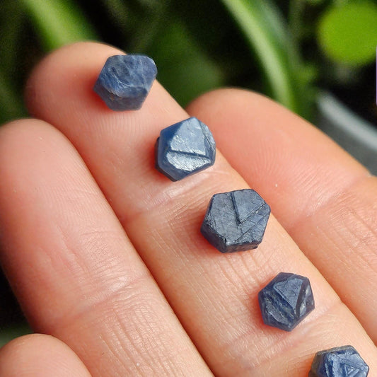 Record Keeper Sapphire