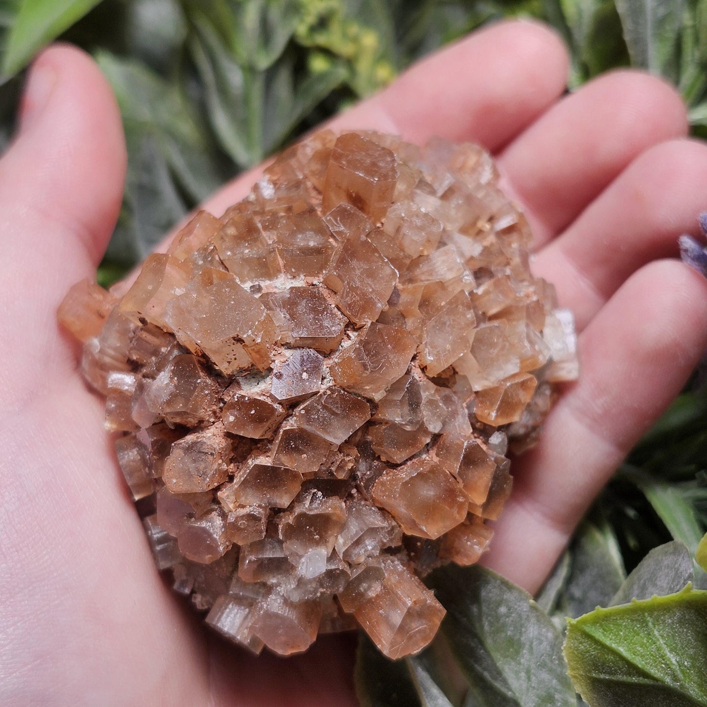 Aragonite Star Cluster