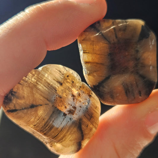Chiastolite Crystal
