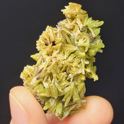 Pyromorphite Crystal