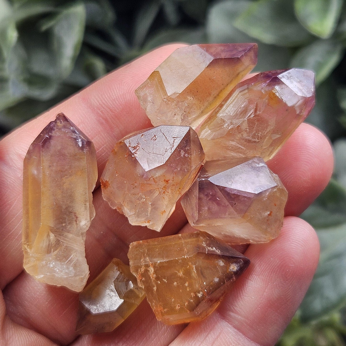 Trapiche Amethyst Quartz