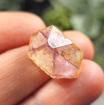 Trapiche Amethyst Quartz