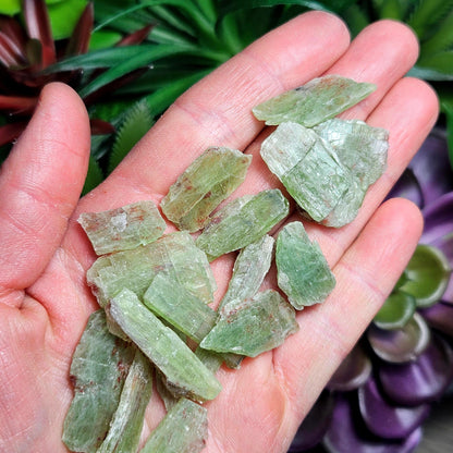 Raw Green Kyanite