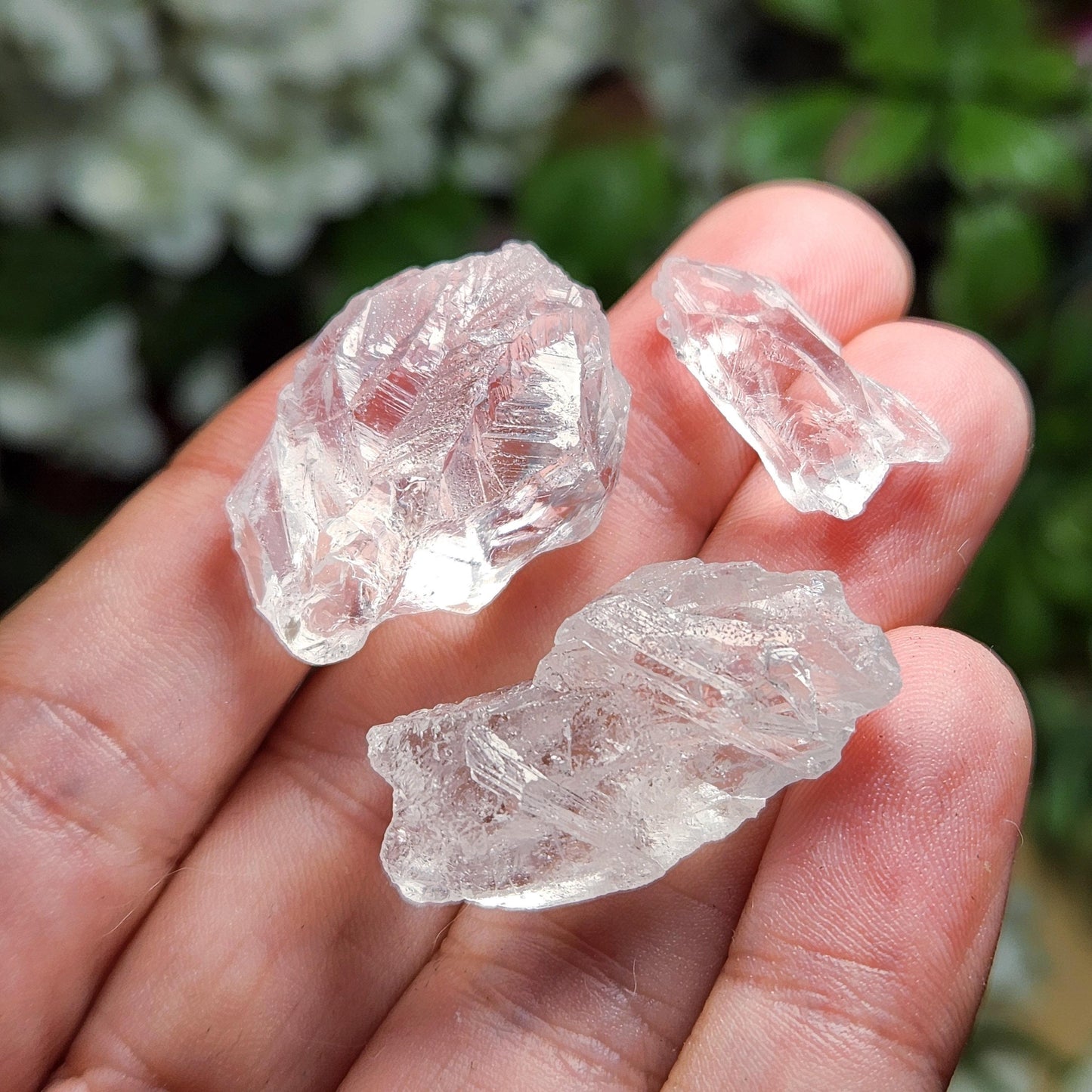 Lemurian Root Crystal