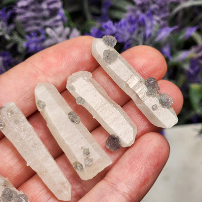 Ultraviolet Fluorite on Quartz