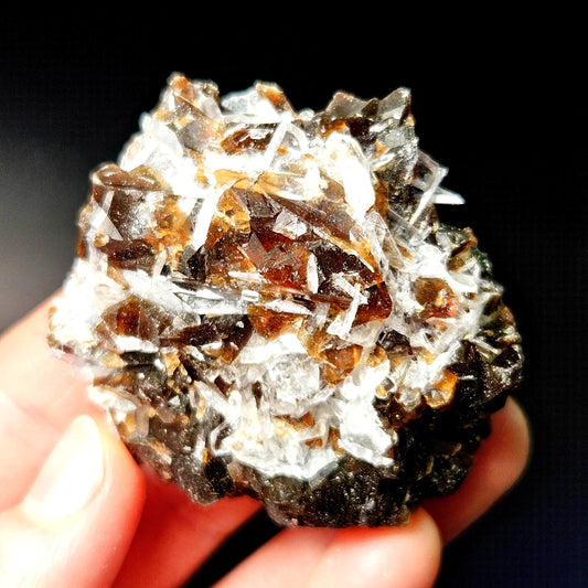 Ultraviolet Rootbeer Fluorite & Celestite Crystal