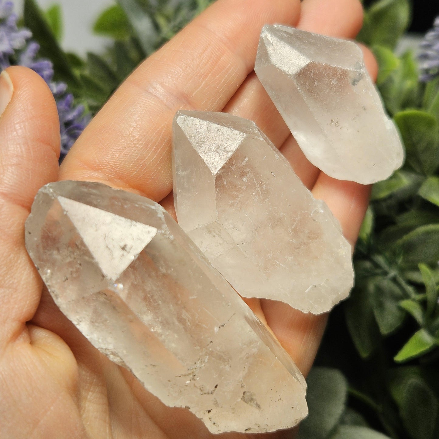Brazilian Quartz Crystals