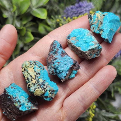 Chrysocolla Specimen