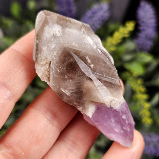 Dog Tooth Smoky Amethyst Crystal