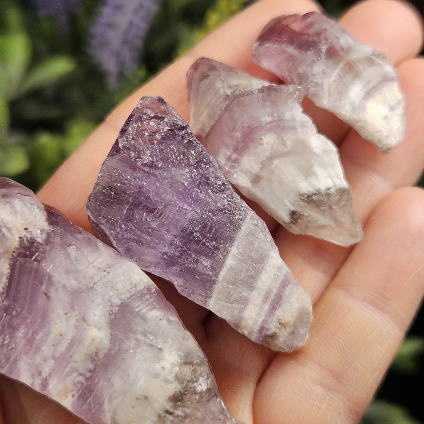 Dog Tooth Smoky Amethyst Crystal