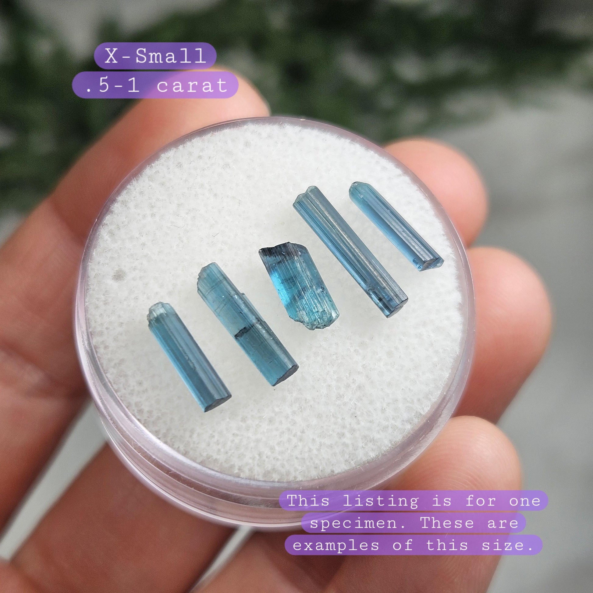 May include: Six small, blue, elongated, translucent, aquamarine crystals in a white, round, plastic container. The text &#39;X-Small .5-1 carat&#39; is written in purple text on a white background. The text &#39;This listing is for one specimen. These are examples of this size.&#39; is written in purple text on a white background.
