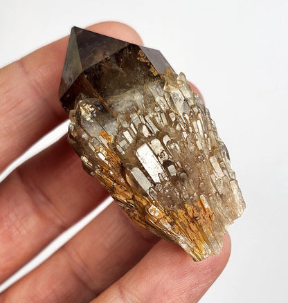 Kundalini Smoky Quartz