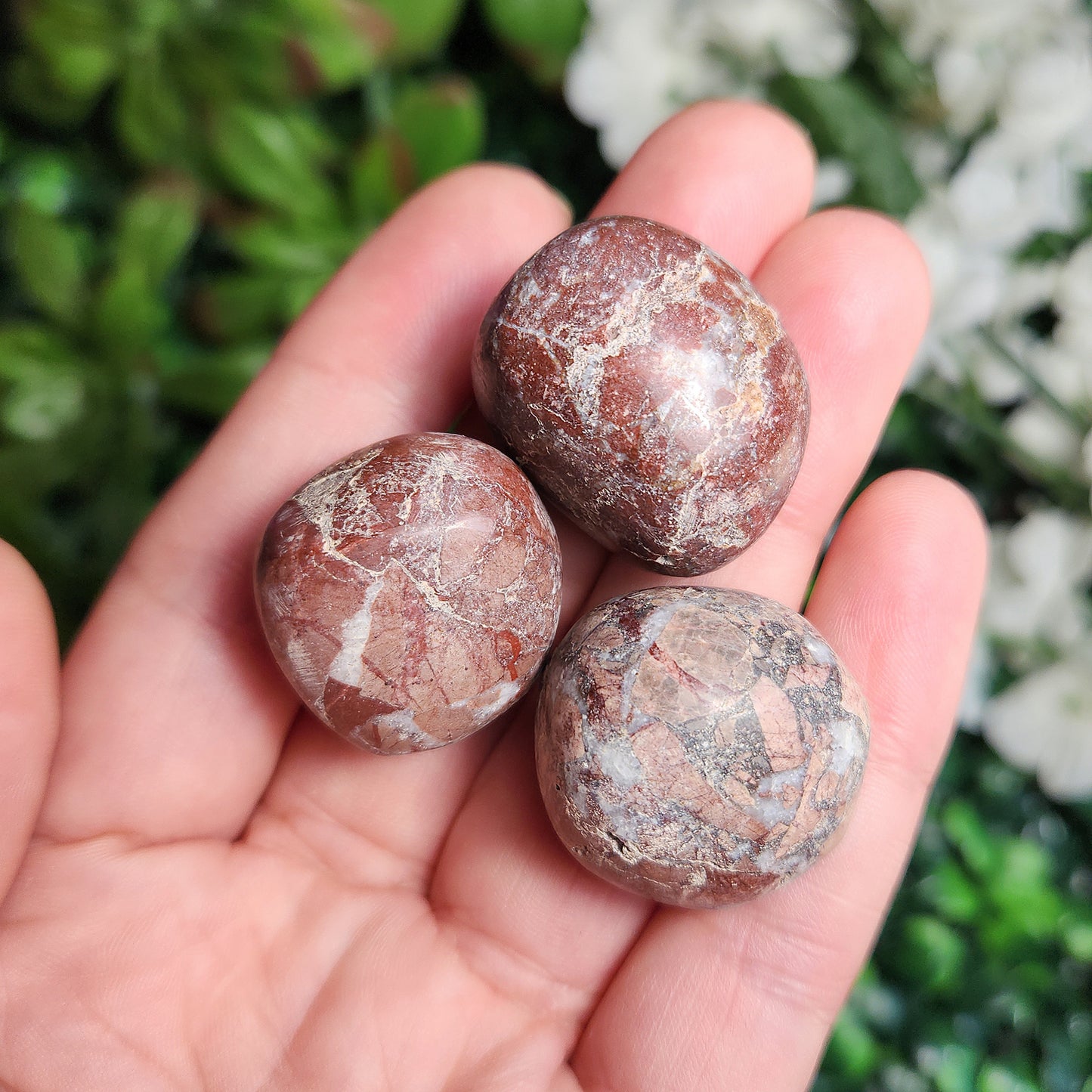 May include: Three tumbled stones with a red and white marbled pattern.