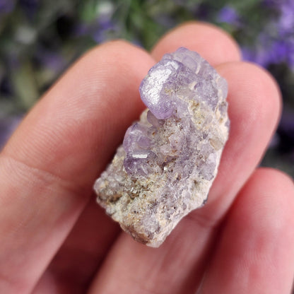 Purple Apatite